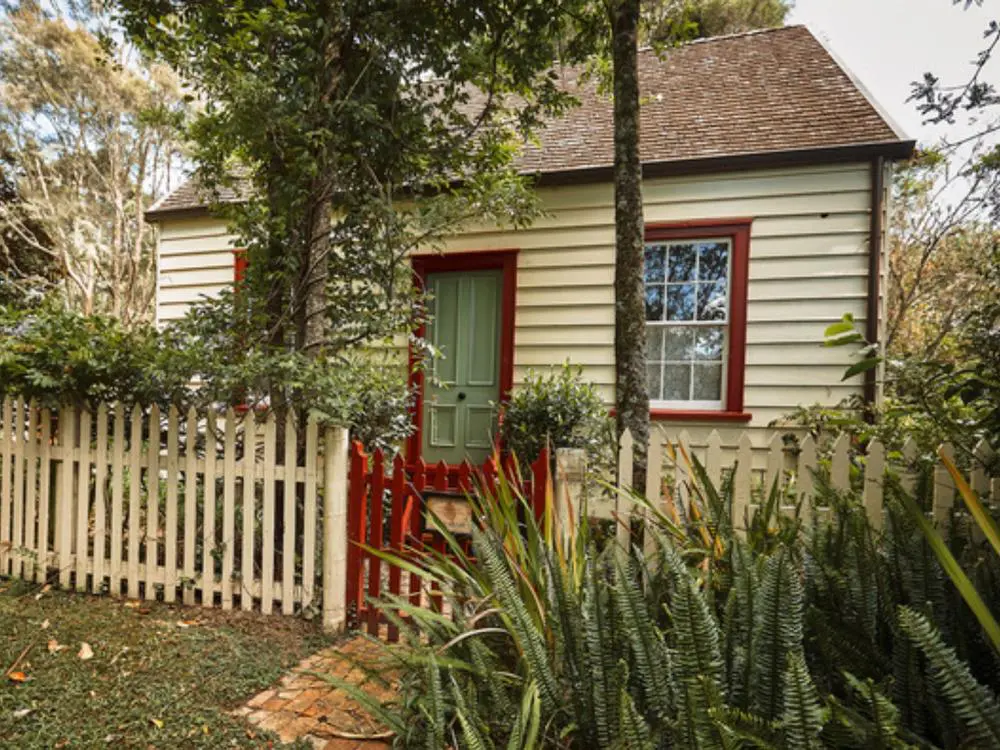 Auckland Custom Sightseeing Tour