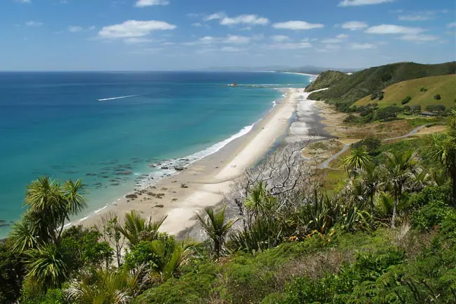 Auckland Customized Sightseeing Tours Historic Deveonport Tour