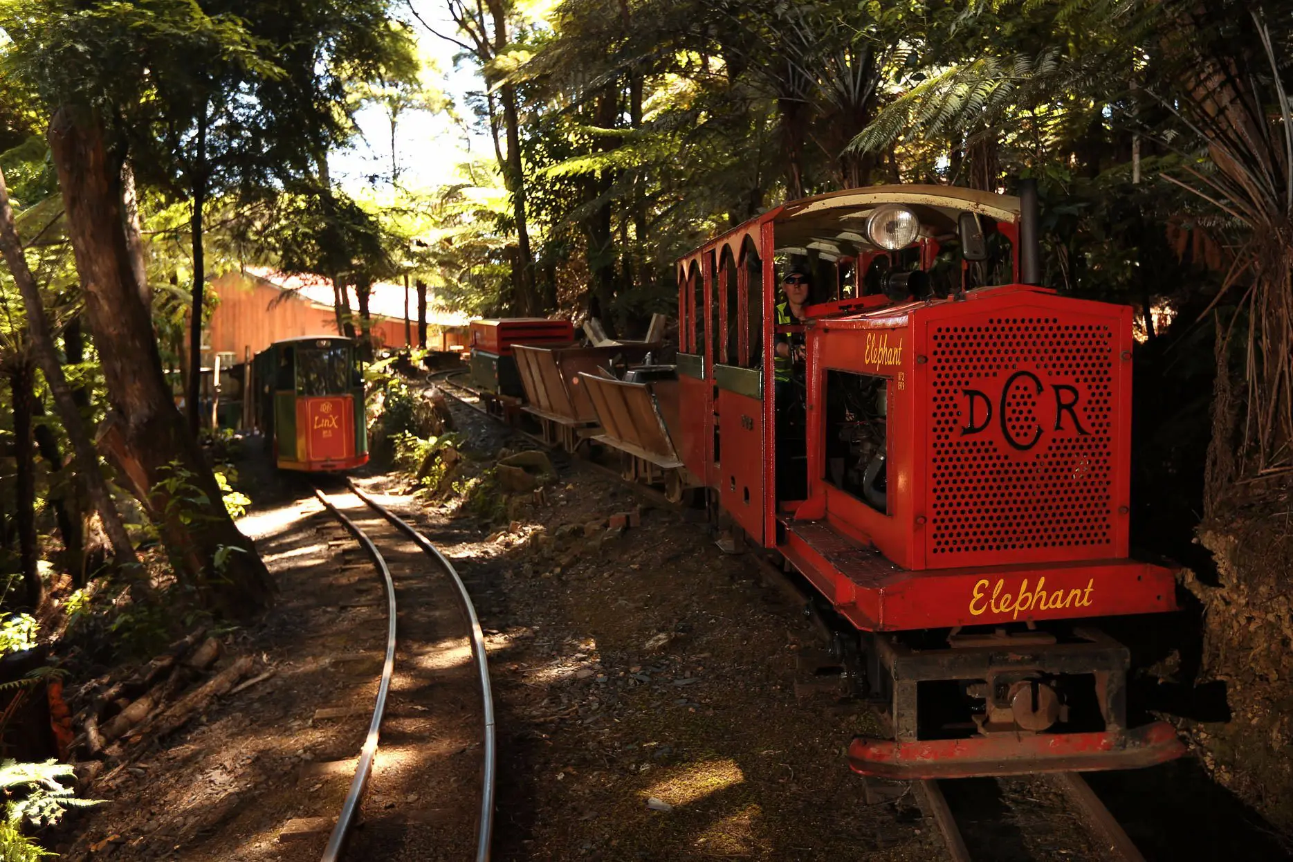 auckland-sky-tower - custom auckland tours