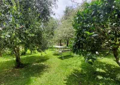 Quiet, private & luxurious self-catering AirBnB accommodation and retreat with exclusive access to our swimming pool for a relaxing place to stay in Auckland.