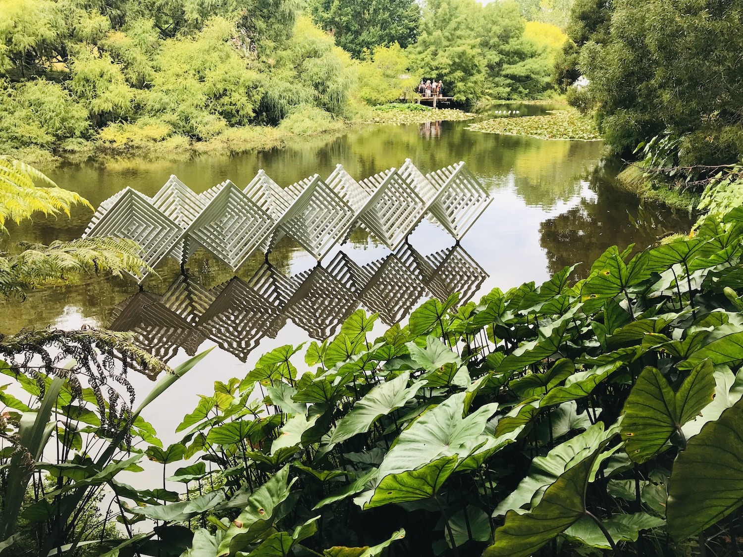 auckland botanical gardens - custom auckland tours