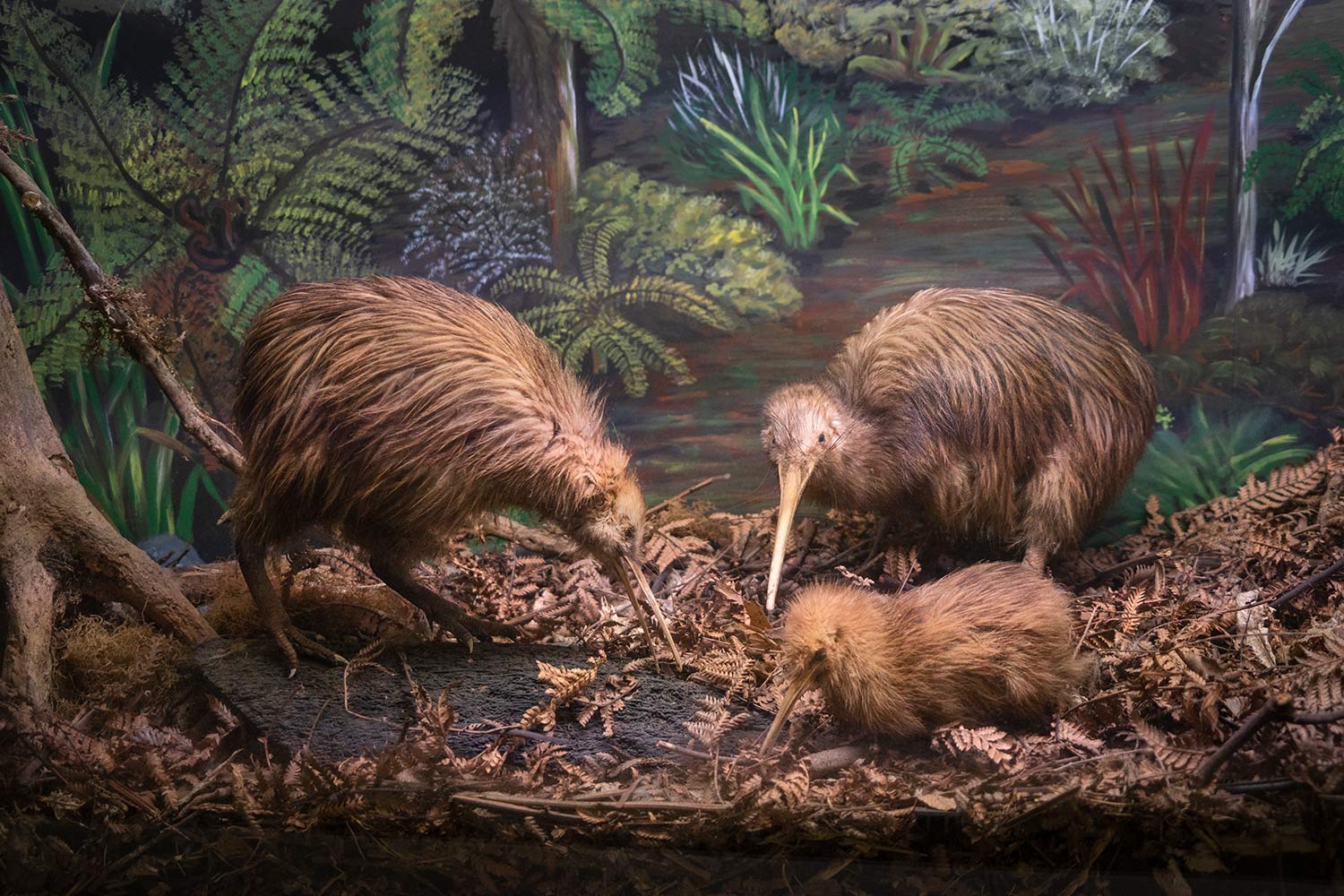 Auckland Customized Sightseeing Tours Historic Deveonport Tour