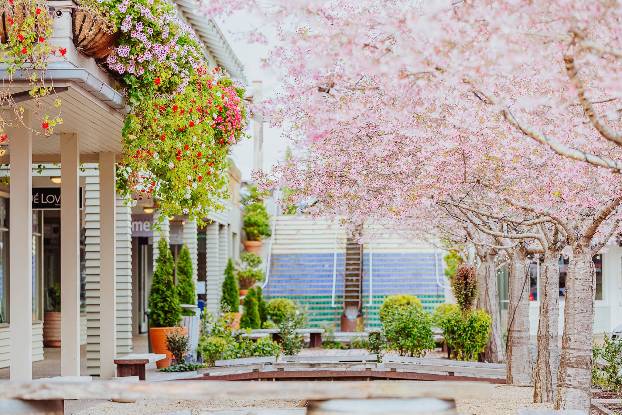 Auckland Customized Sightseeing Tours Historic Deveonport Tour