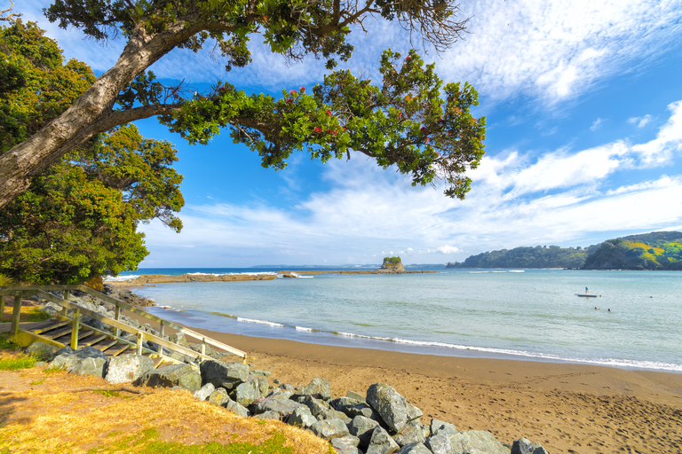 Auckland Custom Sightseeing Tour