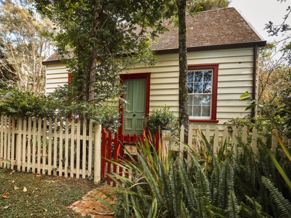 Auckland Custom Sightseeing Tour