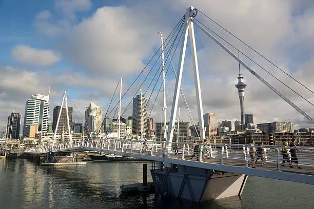 Auckland Custom Sightseeing Tour